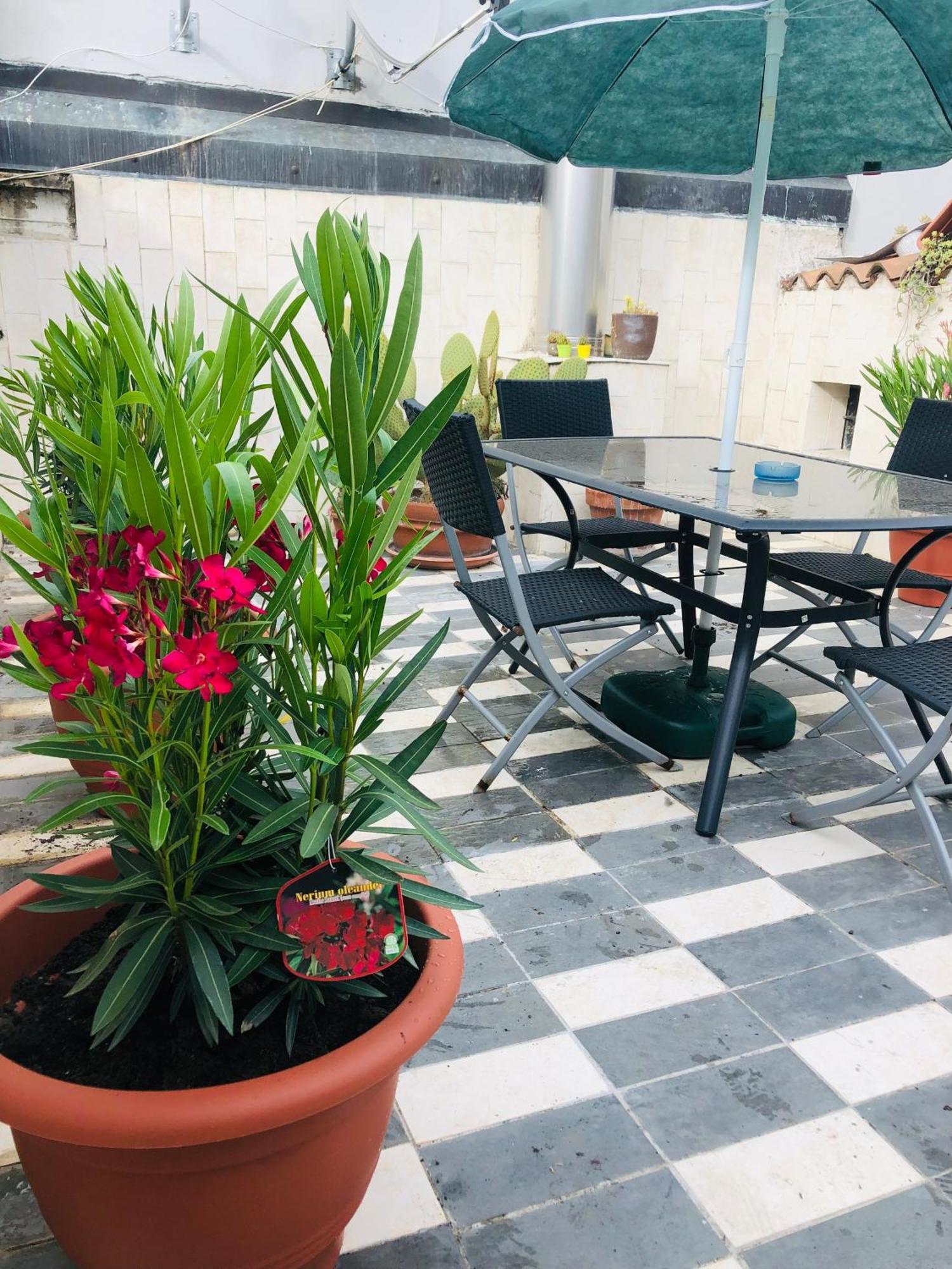 דירות ורונה La Terrazza Di Aida מראה חיצוני תמונה